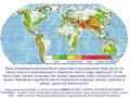 

Mapa zagrożenia
sejsmicznego świata.

